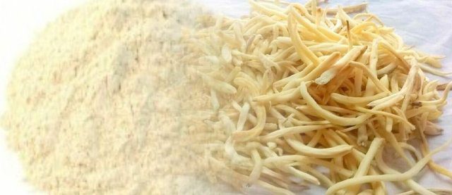 Safed Musli benefits