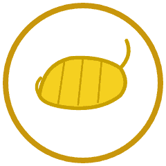 Dehydrated Banana