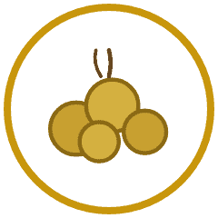 Golden Raisins