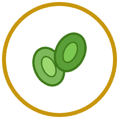 Pumpkin Seeds