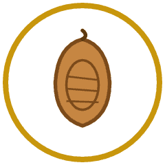 Roasted Almonds