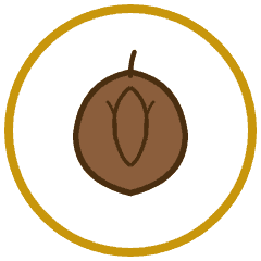 Roasted Walnuts